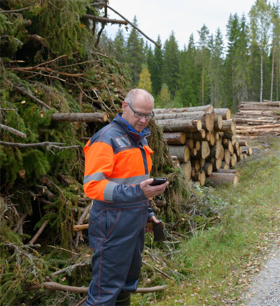 Forestry operations high risk site
